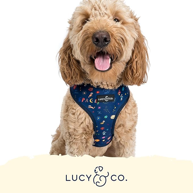 Lucy & Co. Space Doodle, Cute Reversible Dog Harness Walking Halter - Best Designer Pet Harnesses for Medium Dogs - Padded Adjustable Vest for Easy Walking (X-Large)