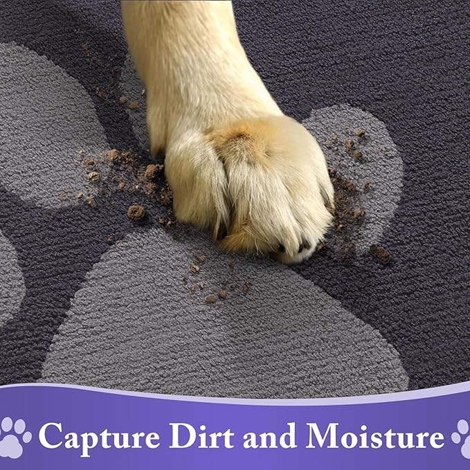 Buganda Dog Door Mat for Muddy Paws, Absorbent Dirt Trapper Non Slip Indoor Doormats, Washable Low-Profile Mat for Mud Dogs, Entryway Carpet for Inside Floor (36x24 Inches, Dark Grey)
