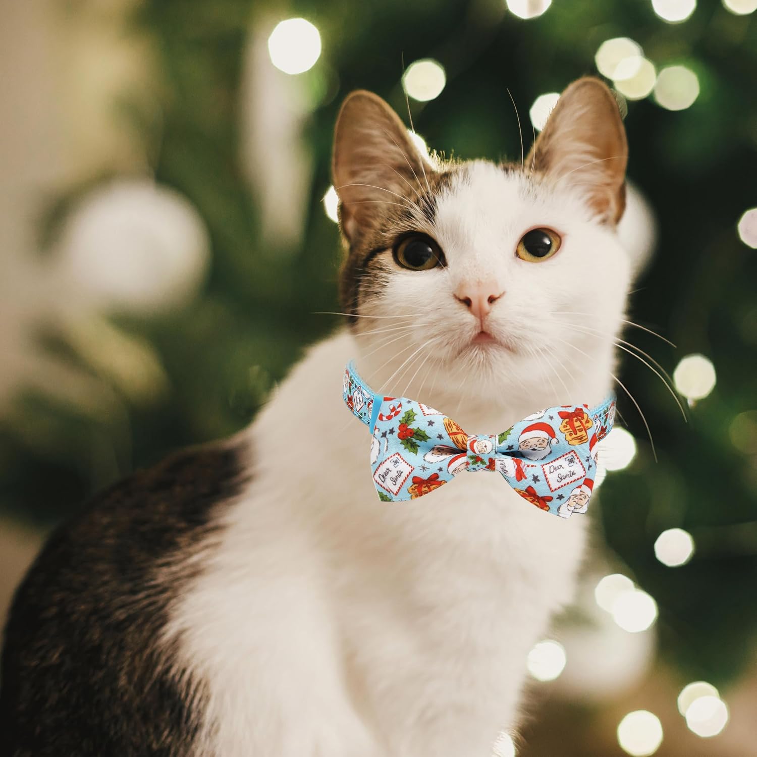 Christmas Cat Collar 2-Pack - Cute Santa & Cookies Holiday Collars with Removable Bow Tie & Bell, Adjustable Breakaway Safety Buckle for Kitties Kittens (Pink & Blue)