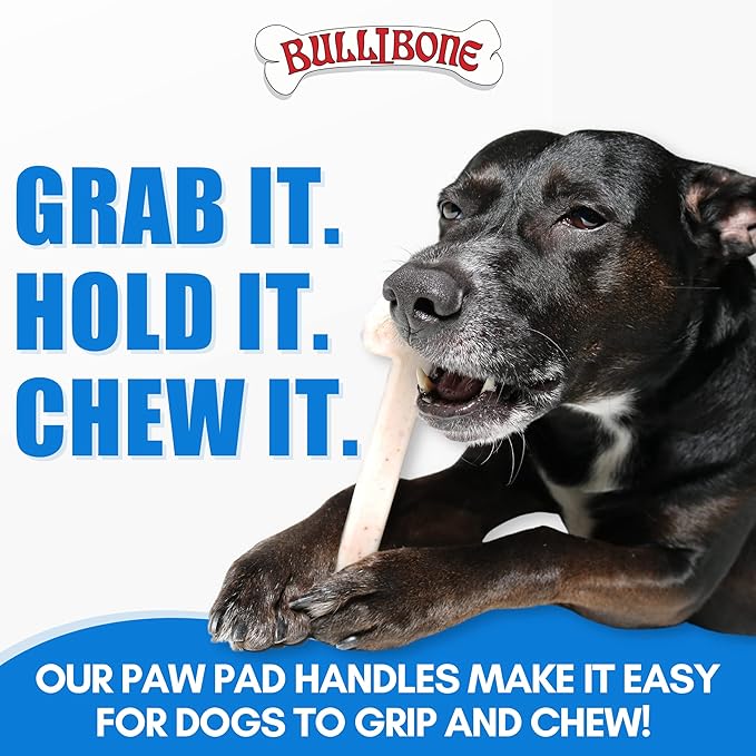 Bullibone Nylon Dog Chew Toy for Aggressive Chewers - Dental Hygiene Bone with Beef Flavor, Durable Tough Chew Toys for Small Dogs, Indestructible Dog Bone - 3 Pack