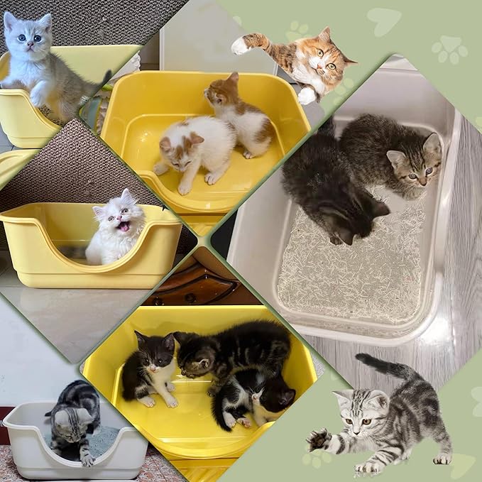 Low Entry Small Litter Box for Kittens, Kitty Plastic Litter Boxes, Open Top, Anti-Splash High Sided Litter Tray Pan for Medium Pets, Puppy, Easy to Clean, 15.7" L*11.8" W*6.7" H (Yellow)