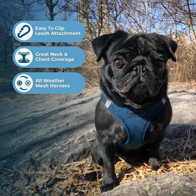 Best Pet Supplies Voyager Step-in Air All Weather Mesh Harness and Reflective Dog 5 ft Leash Combo with Neoprene Handle, for Small, Medium and Large Breed Puppies - Set (Blue), XXS