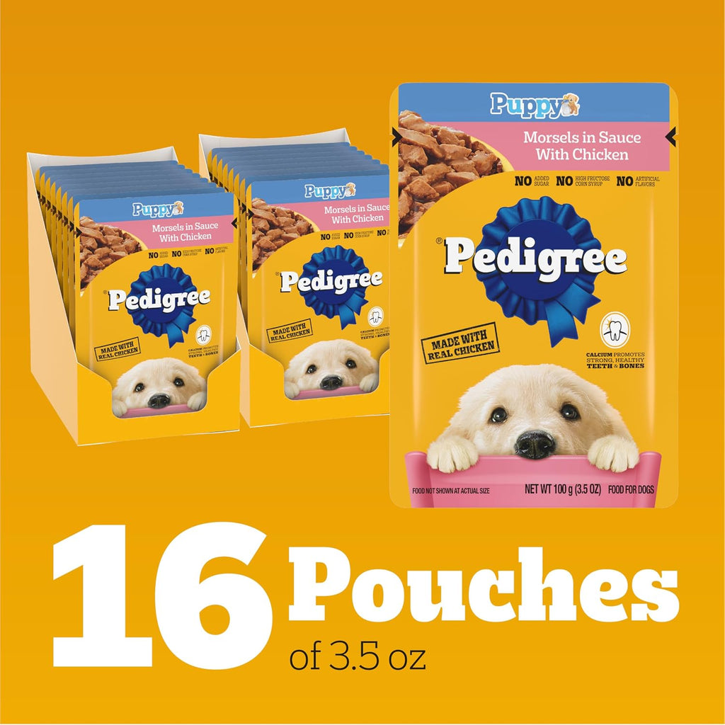 Pedigree Puppy Morsels Wet Dog Food Pouch, Chicken, 3.5 oz, 16 Count | Steam cooked, high quality animal protein, DHA brain support, calcium for teeth & bones, topper or complete meal