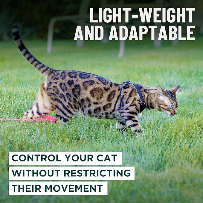 Houdini™ Escape Proof Cat Harness and Leash Set by OutdoorBengal – Black, Medium Cat Harness for Walking