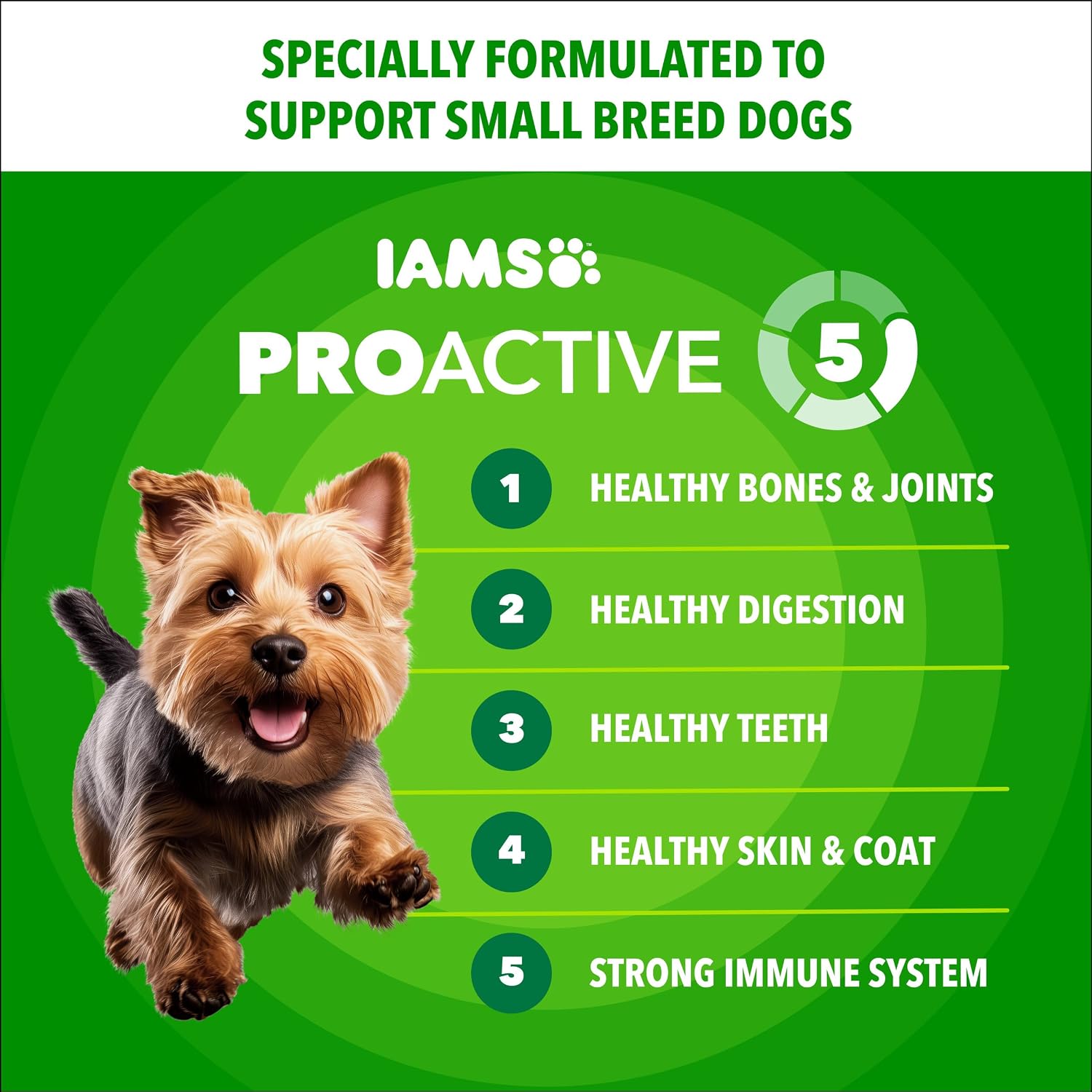 IAMS Proactive Health Small Breed Dry Dog Food, Chicken & Grain, 5 lb | Real Chicken #1 Ingredient, Small Kibble for Small Mouths, Natural Fiber & Prebiotics, No Fillers or Artificial Flavors