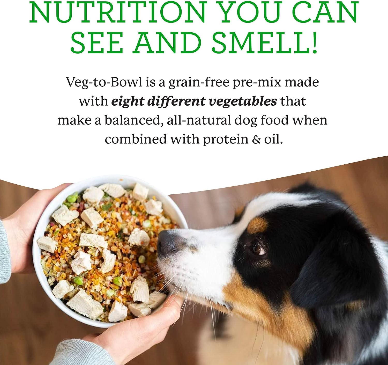 Dr. Harvey's Veg-to-Bowl Dog Food, Human Grade Dehydrated Base Mix for Dogs, Grain Free Holistic Mix (3 Pound) | Dehydrated - Holistic Mix