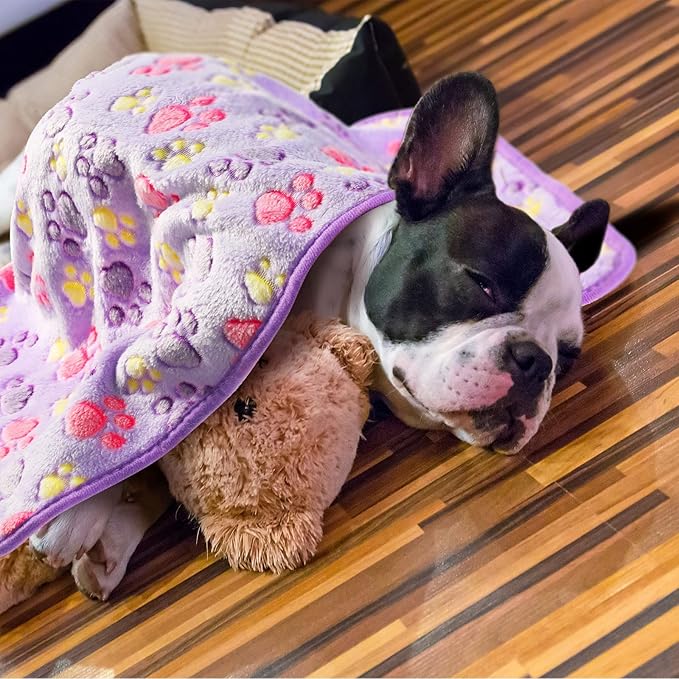 Tatuo 4 Pcs Dog Blanket for Pet Cat Blankets Indoor Puppy Teething Stuff Toys Paw Print Fleece Soft Blanket Sleep Mat for Guinea Pig Cage(Purple,Medium(30 x 20.5 Inch),Square)