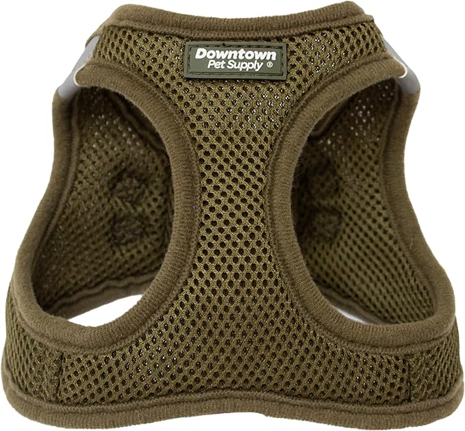 Downtown Pet Supply Step in Dog Harness for Small Dogs No Pull, X-Small, Hunter Green - Adjustable Harness with Padded Mesh Fabric and Reflective Trim - Buckle Strap Harness for Dogs