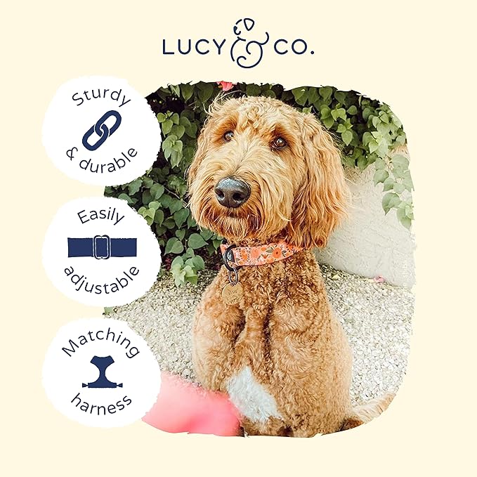 Lucy & Co. Posy Pink Dog Collar - Durable Lightweight Designer Collar for Pets - Adjustable Metal Safety Buckle - Coral Pink Floral - Large