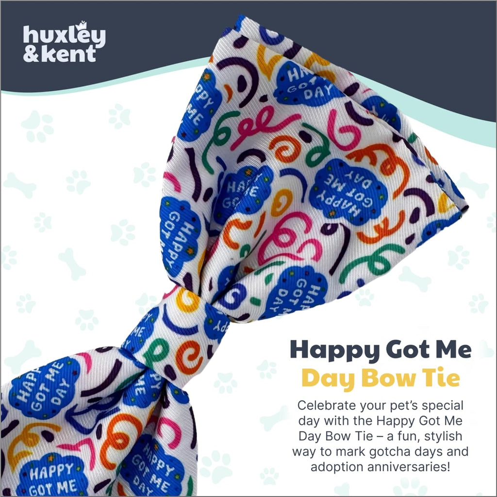 Huxley & Kent Pet Bow Tie for Dogs & Cats, Happy Got Me Day, Large/XLarge | Hook & Loop Attaches to Any Collar, Soft Polyester, Lightweight & Machine Washable, Perfect for Holidays & Photos