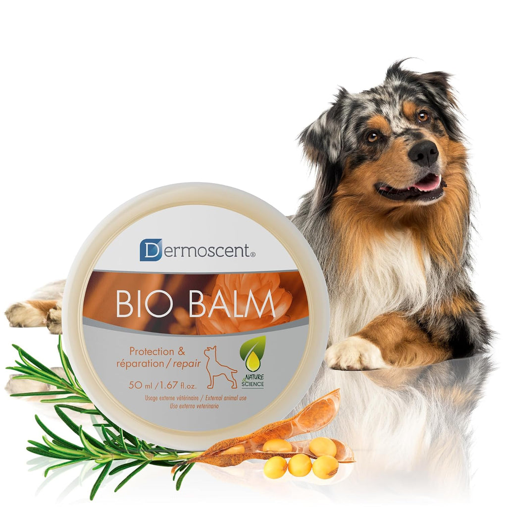 Dermoscent | Bio Balm | Natural, Organic, Healing Dog Paw Balm | Skin & Paw Soother For Dogs With Dry, Cracked, & Rough Paws | Veterinarian-Approved Paw Pad Moisturizer & Protector