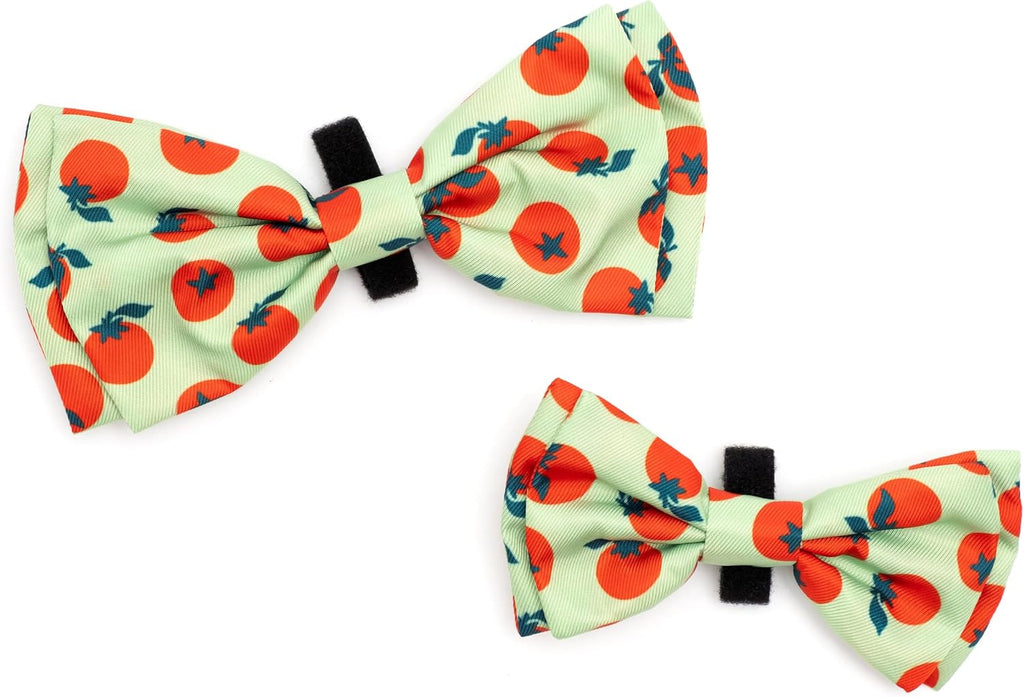 THE WORTHY DOG Food & Sport Print Pet Bow Ties for Dogs & Cats, Tomatoes | Stylish, Soft Printed Polyester Pet Bow Tie, Attach to Any Collar Easily with Touch Fastener, Tomatoes, Green, Small