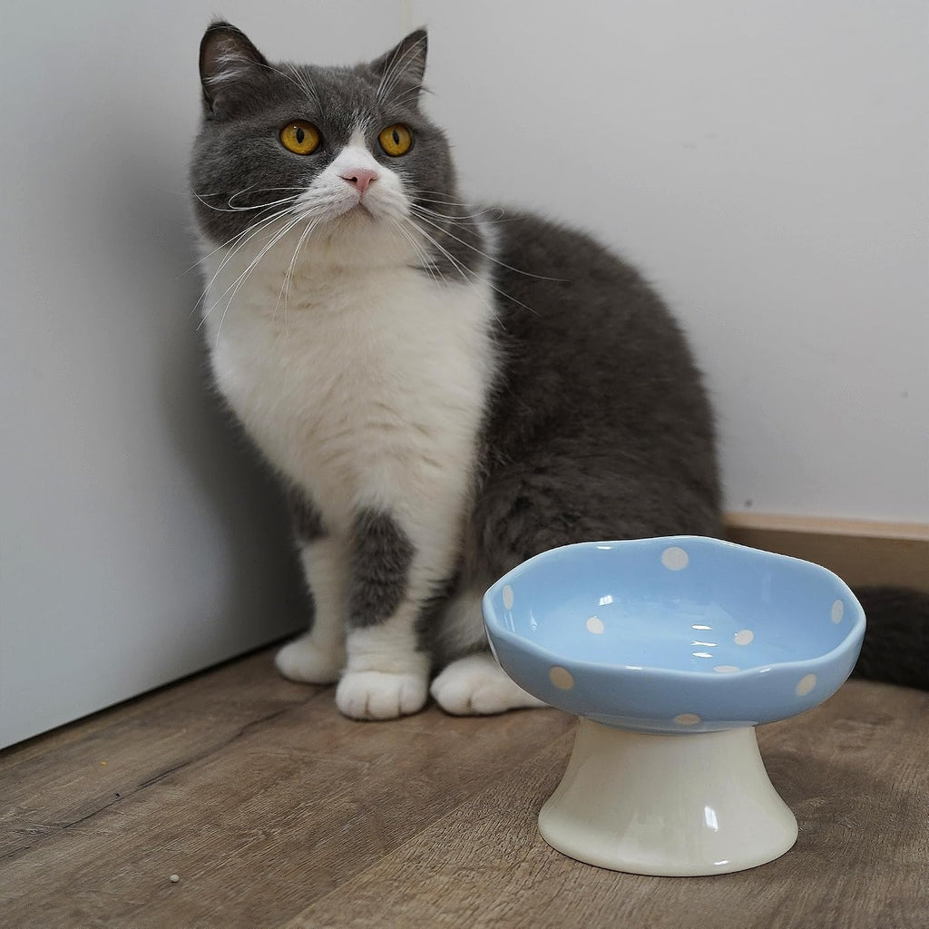 Pink and Blue Mushroom Cat Bowl Set,2PCS Elevated Ceramic Bowls for Cats | Cute Design, Elevated, Ceramic, Whisker Friendly, Dishwasher Safe