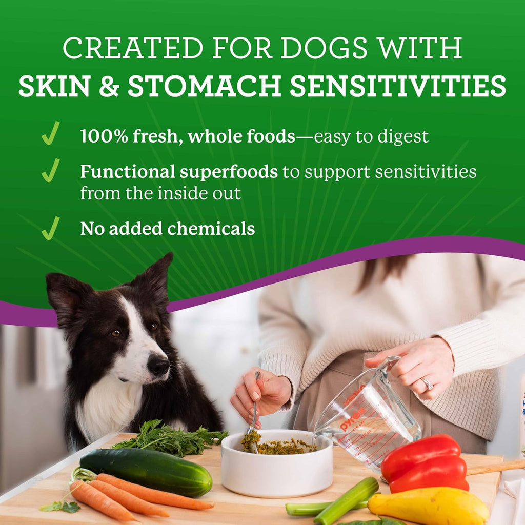 Dr. Harvey's Limited Ingredient Dog Food, Lamb, Trial Size | for Dogs with Food Sensitivities - Trial Size, 5.5 oz