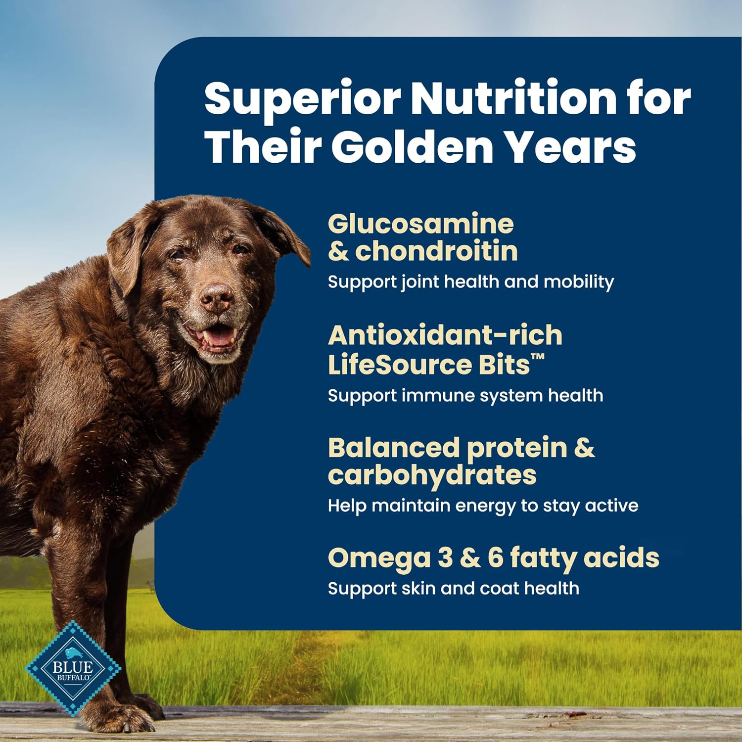 Blue Buffalo Life Protection Formula Lamb Senior 7+ Dry Dog Food, 30 lb | Real Lamb #1 Ingredient, with Glucosamine & Chondroitin for Joint Health & Mobility, Antioxidant-Rich LifeSource Bits
