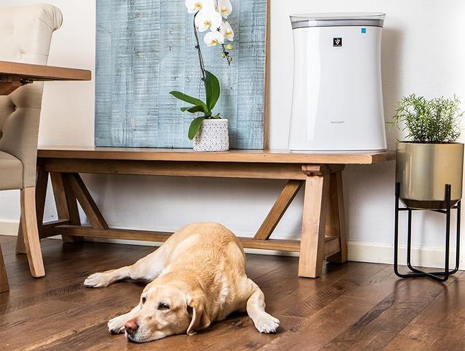 SHARP Air Purifier for Medium Rooms – Covers up to 1,253 sqft in one hour, True HEPA Filter Air Purifier for Pets, Dust, Smoke, Pollen - FPK50UW