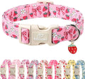 Strawberry Bow Dog Collar for Medium Dogs - Cute Pink Spring/Summer Girl Dog Collars, Lightweight Adjustable Female Girly Dogs Collars with Quick Release Buckle M