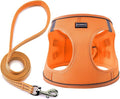 Dog Harness with Leash Set, No Pull Adjustable Reflective Step-in Puppy Pet Vest Harnesses for Small Medium Large Dogs and Cats,Orange S
