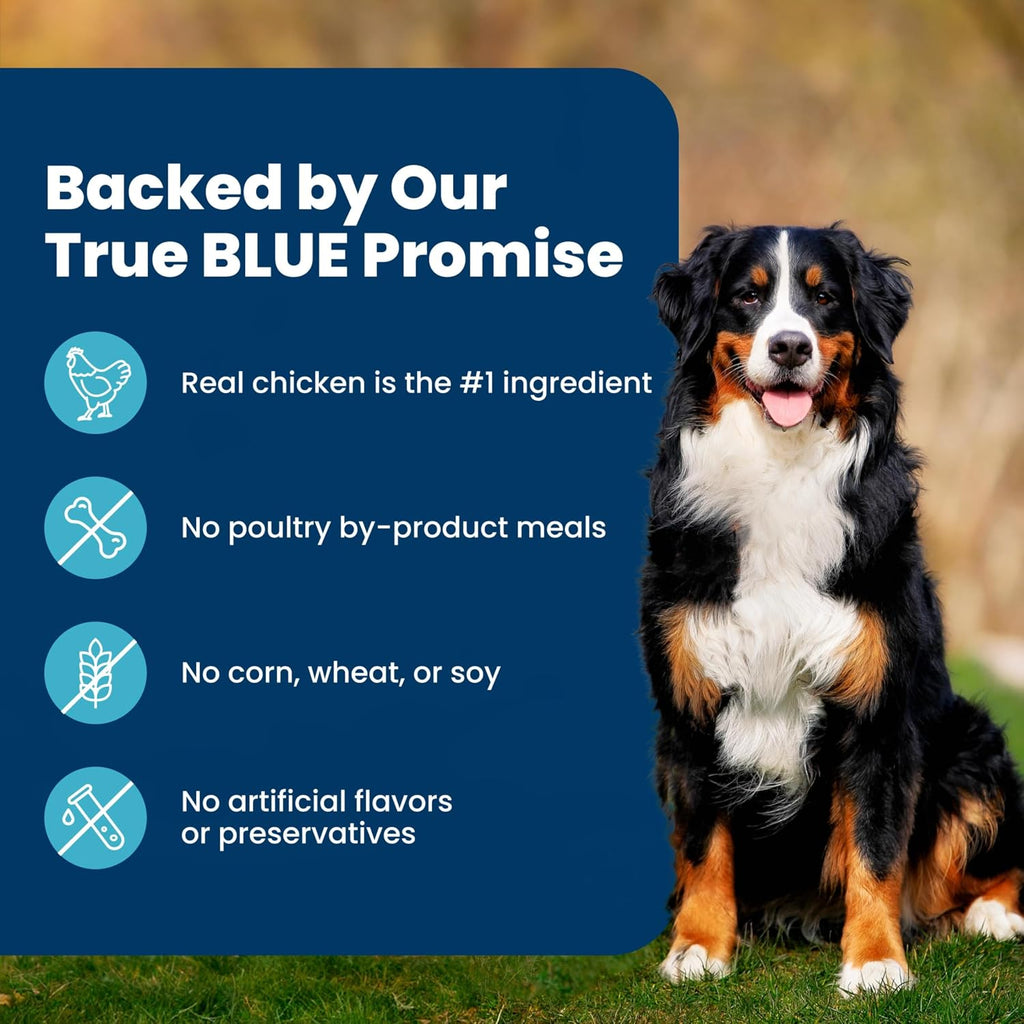 Blue Buffalo Life Protection Formula Healthy Weight Large Dog Food, 34 lb | Real Chicken #1 Ingredient, Promotes Lean Muscles & Weight Control in Large Breed Dogs, Antioxidant-Rich LifeSource Bits