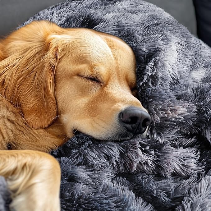 Luciphia Large Waterproof Dog Blanket for Pet Washable Liquid Proof Bed Intimacy Protection Shaggy Plush Calming Long Faux Fur Couch Cover Calming Cat Throw Blankets, Tie-dye Grey, 50" x 60"