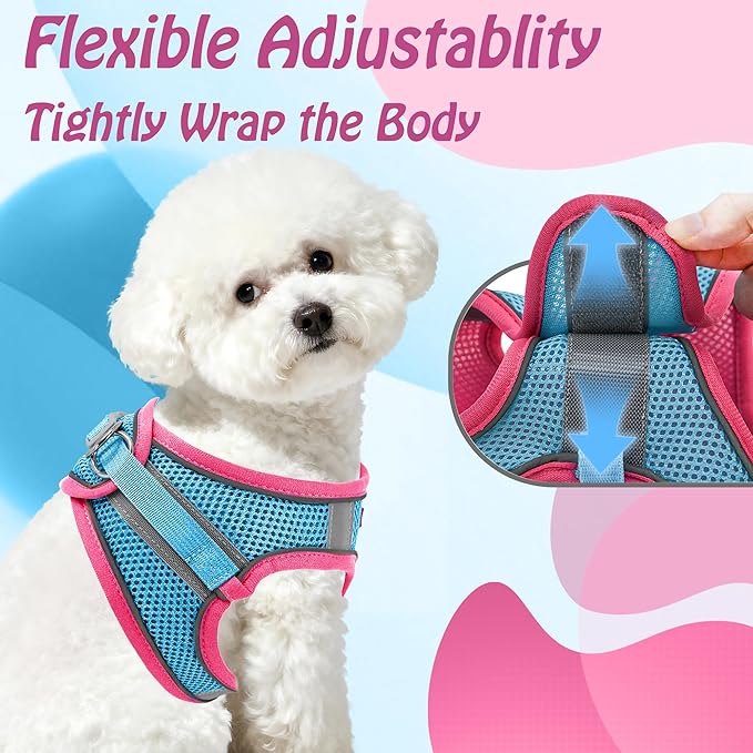AIITLE Step in Dog Harness and Leash Set - No Pull Escape Proof Vest Harnesses with Soft Mesh and Reflective Bands, Adjustable Pet Outdoor Harnesses for Small and Medium Dogs Hot Pink M