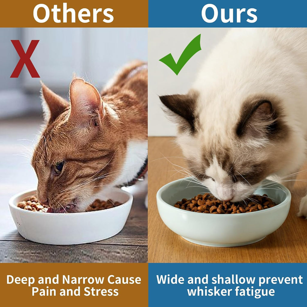 5.3 in Ceramic Cat Dishes - Shallow Food Bowls for Small Pets, 3 Pack for Food and Water -Light Blue
