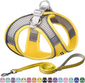 AIITLE Step in Dog Harness and Leash Set - No Pull Escape Proof Vest Harnesses with Soft Mesh and Reflective Bands, Adjustable Pet Outdoor Harnesses for Small and Medium Dogs Yellow M