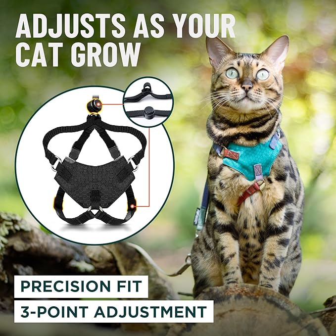 Houdini™ Escape Proof Kitten Harness and Leash Set by OutdoorBengal – Extra Small – Comfy, Adjustable and Lightweight - Houdini Cat Harness Escape Proof for Small Cats + Cat Leash 6ft (Multicolor, XS)