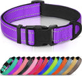 Joytale Reflective Dog Collar, Soft Neoprene Padded, Metal D-Ring, Nylon Pet Collar Adjustable for Puppy and Small Dogs, Purple, XS