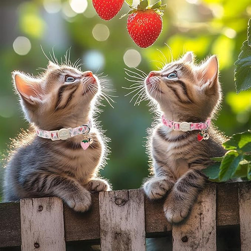 2 Pack Strawberry Cat Collars - Cute Girly Pink Breakaway Cat Collar with Bell & Matching Pendant, Adjustable Spring Summer Sweet Garden Kitten Collars for Girl Cats