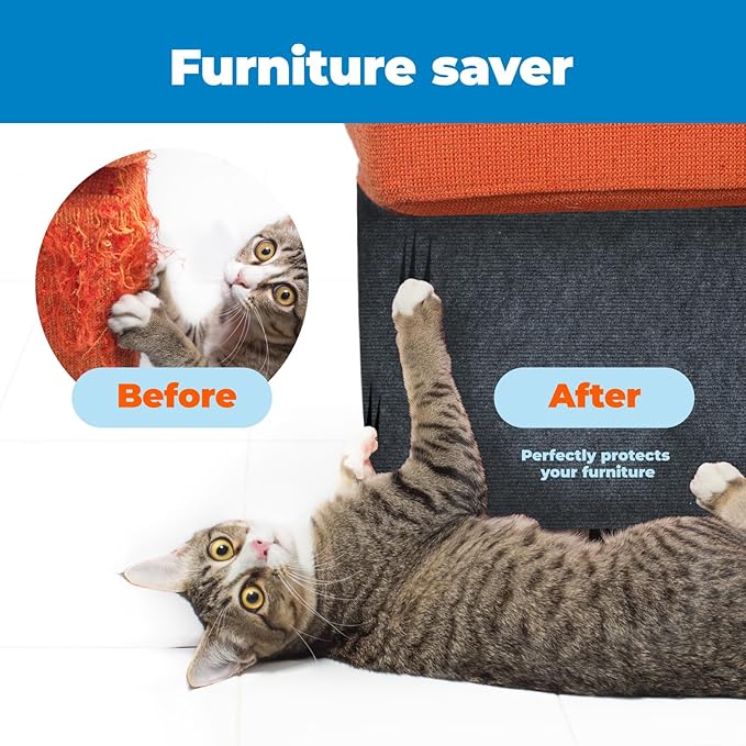 Best Pet Supplies Catify Cat Scratcher, Fun Interactive Scratchers, Posts, Poles, Claw Safe, Furniture Saver Indoor Play Support Natural Cat Behaviors Heavy Duty - Gray (39.4 x 15.8)