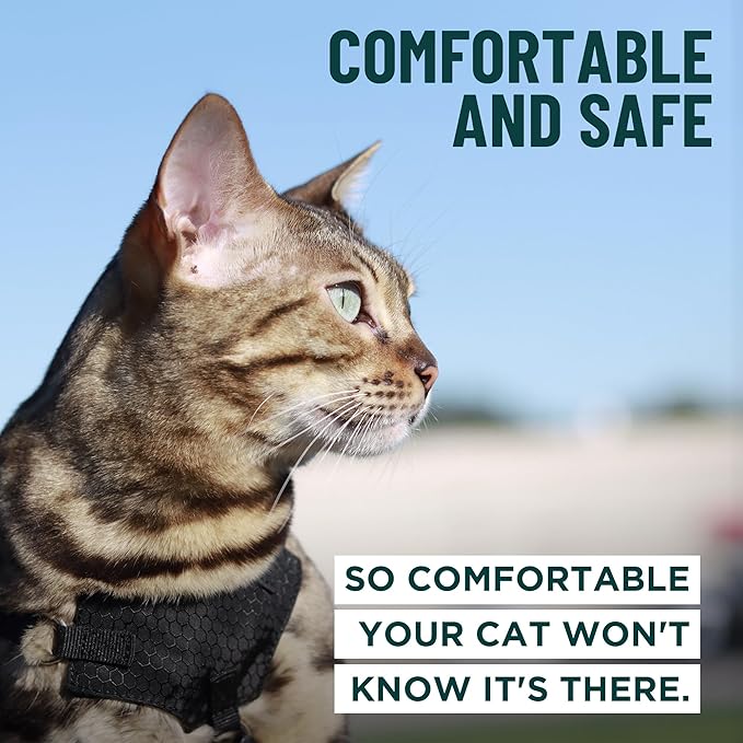 Houdini™ Escape Proof Cat Harness and Leash Set by OutdoorBengal – Red, Medium Cat Harness for Walking