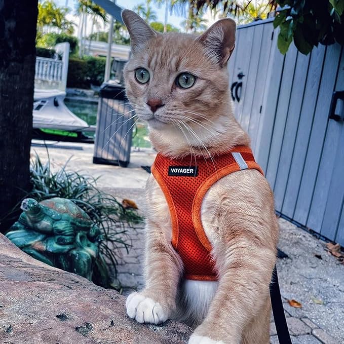 Best Pet Supplies Voyager Step-in Air All Weather Mesh Harness and Reflective Dog 5 ft Leash Combo with Neoprene Handle, for Small, Medium and Large Breed Puppies - Harness Leash Set (Orange), XXS