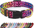 Reflective Dog Collar for Extra Small Dogs Cats, Cute Leopard Style Adjustable Heavy-Duty Nylon Puppy Collar for Boy and Girl Female, Soft Pet Accessories with Quick Release Buckle, Neon