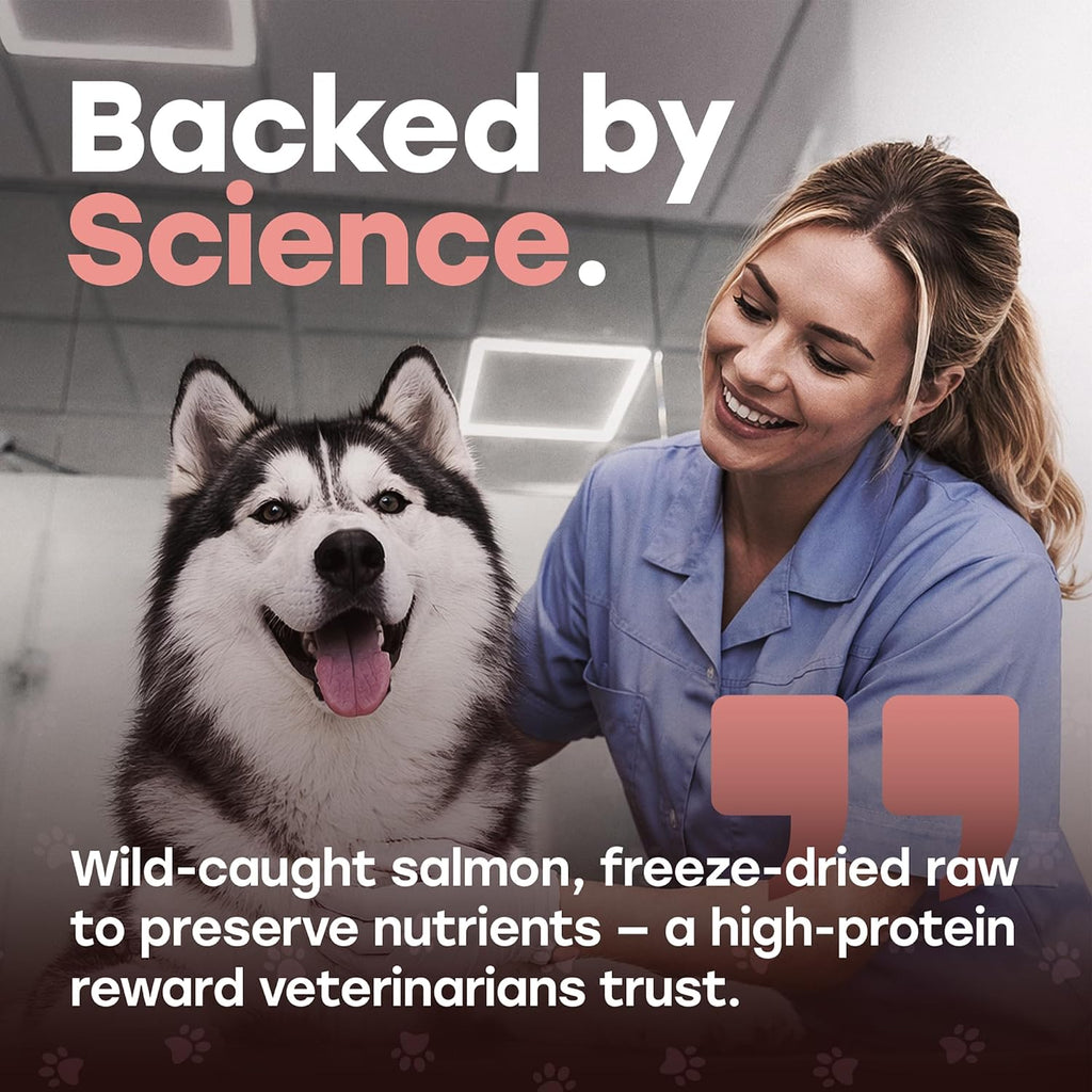 Freeze-Dried Raw Salmon Dog Treats - Single Protein, Grain-Free | Wild-caught salmon with sweet potato and omega-3; no fillers; training reward or kibble topper