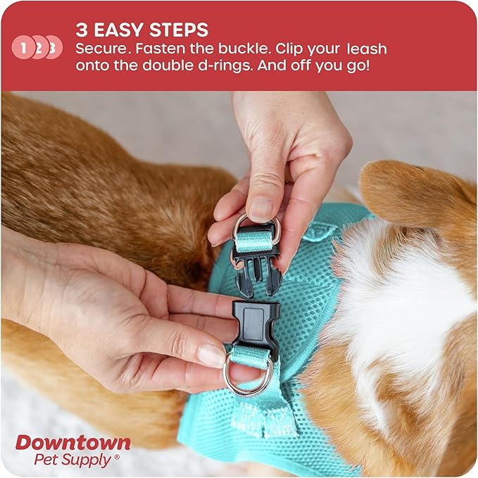 Downtown Pet Supply Step-in Dog Harness – No Pull, Adjustable Padded Mesh with Reflective Trim, Secure Buckle Strap – Comfortable & Breathable Small Dog Harness, X-Small, Light Blue