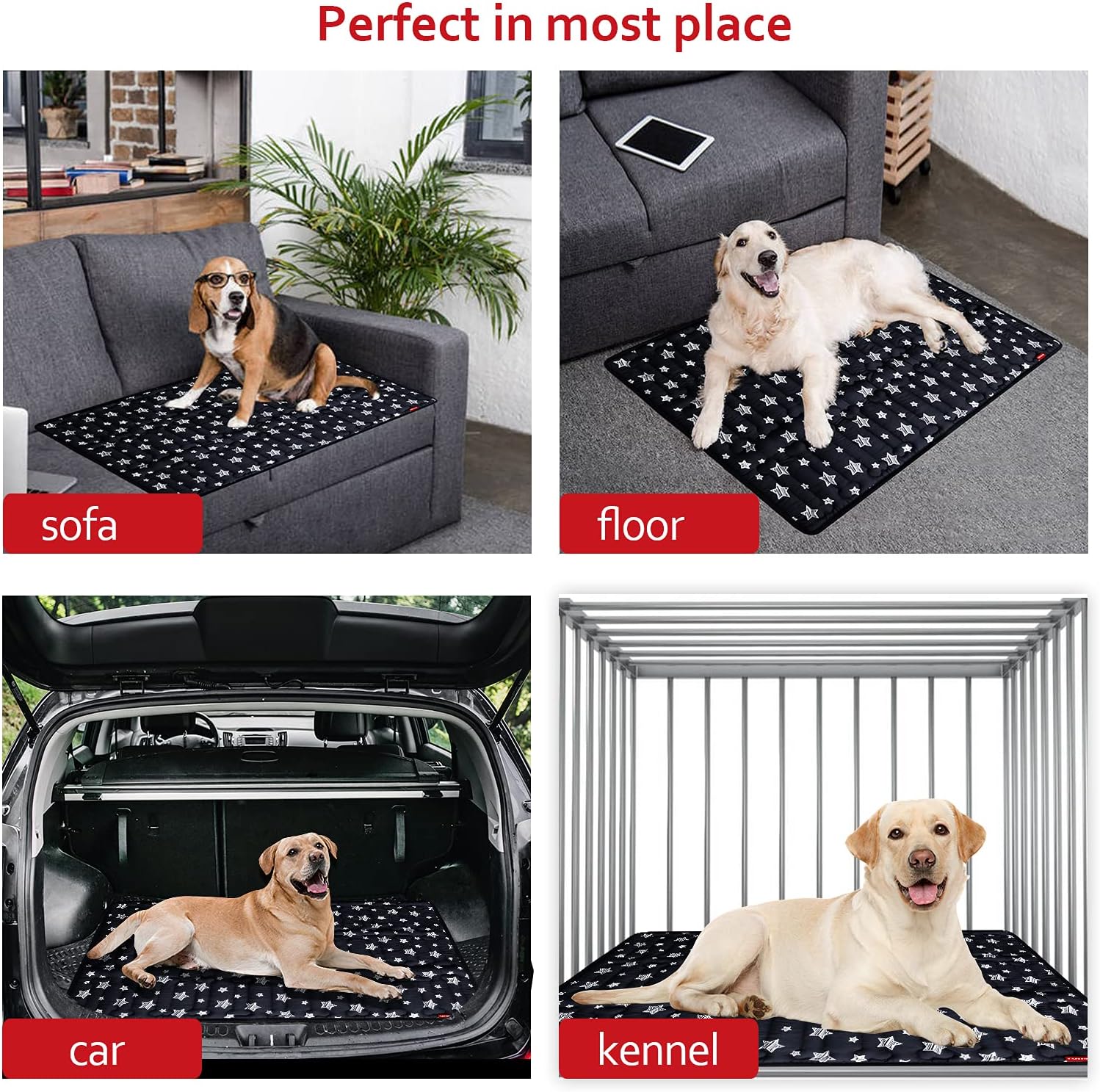 Dog Crate Mat (36" X 23") 2 Pack, Soft Dog Bed Mat with Cute Prints, Personalized Dog Crate Pad, Anti-Slip Bottom, Machine Washable Kennel Pad, Black