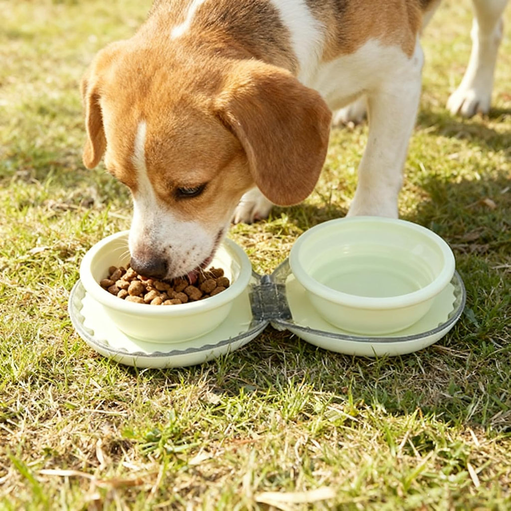 Zegcohjave Collapsible Dog Bowls, 2-in-1 Silicone Portable Dog Food and Water Bowl, Travel Pet Bowls for Dogs & Cats, Ideal for Camping, Hiking and Outdoor Adventures(Light yellow)