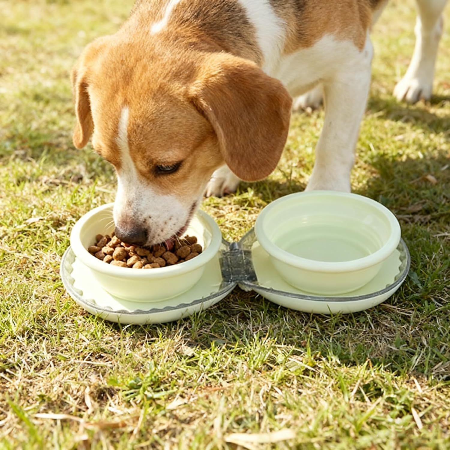 Zegcohjave Collapsible Dog Bowls, 2-in-1 Silicone Portable Dog Food and Water Bowl, Travel Pet Bowls for Dogs & Cats, Ideal for Camping, Hiking and Outdoor Adventures(Light yellow)