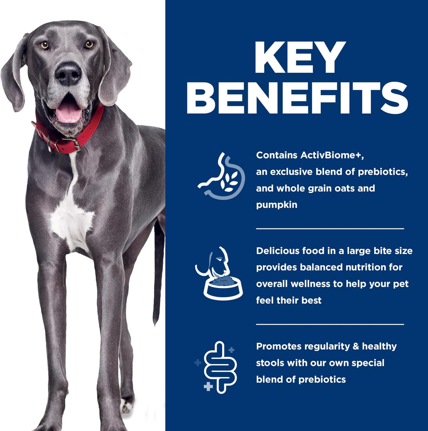 Hill's Science Diet Perfect Digestion Large Breed Dry Dog Food | #1 Veterinarian Recommended, Adult 1-5 Formula, Chicken, Brown Rice, & Whole Oats, 22 lb. Bag