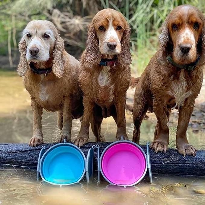 Loving Pets Bella Roma Collapsible Dog Bowls - Silicone Dog Bowls, Foldable Bowl, Puppy Essentials & Hiking Pet Supplies Great for Home & Travel (Pink, Small)