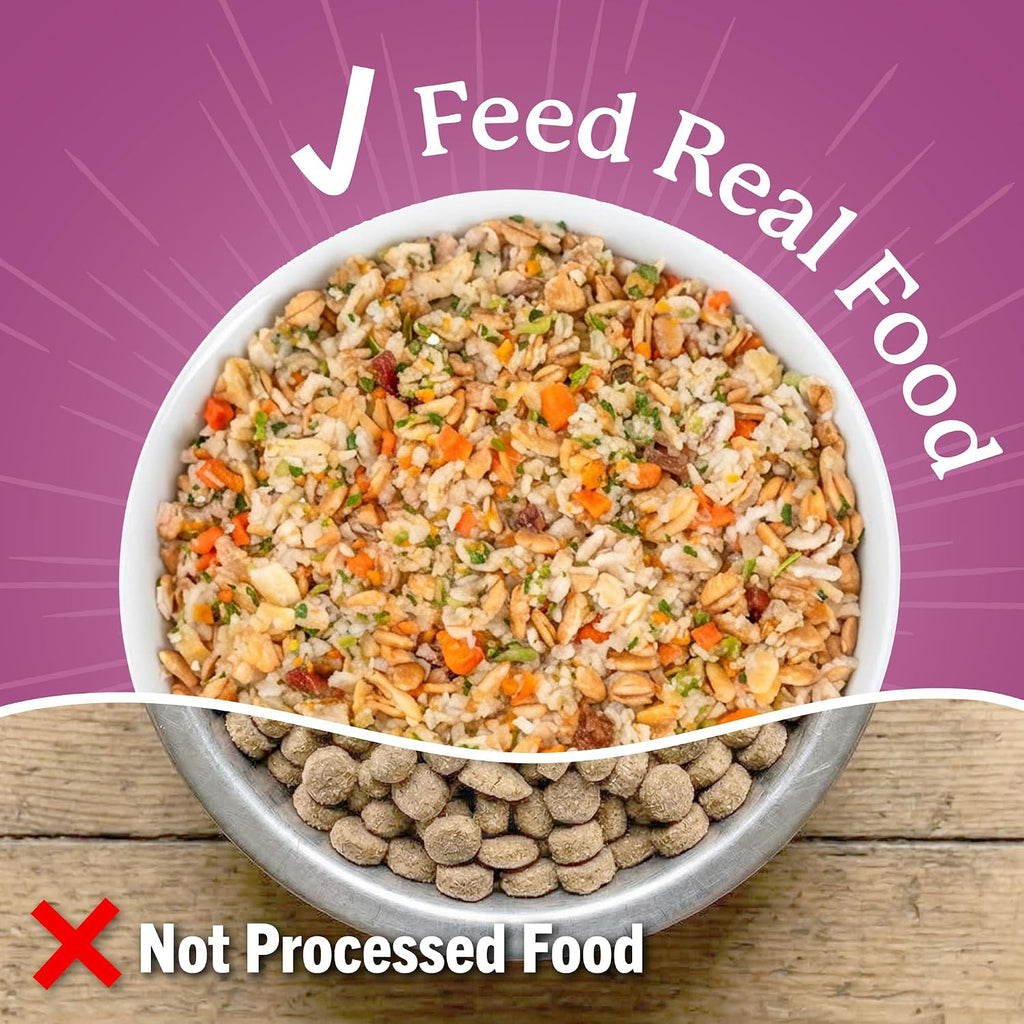 Dr. Harvey's Every Dog Health, Meal with Dehydrated Beef (5 lb) | Complete & Balanced - Organic Whole Grains, Vegetables & Probiotics - Makes 20 Lb of Food