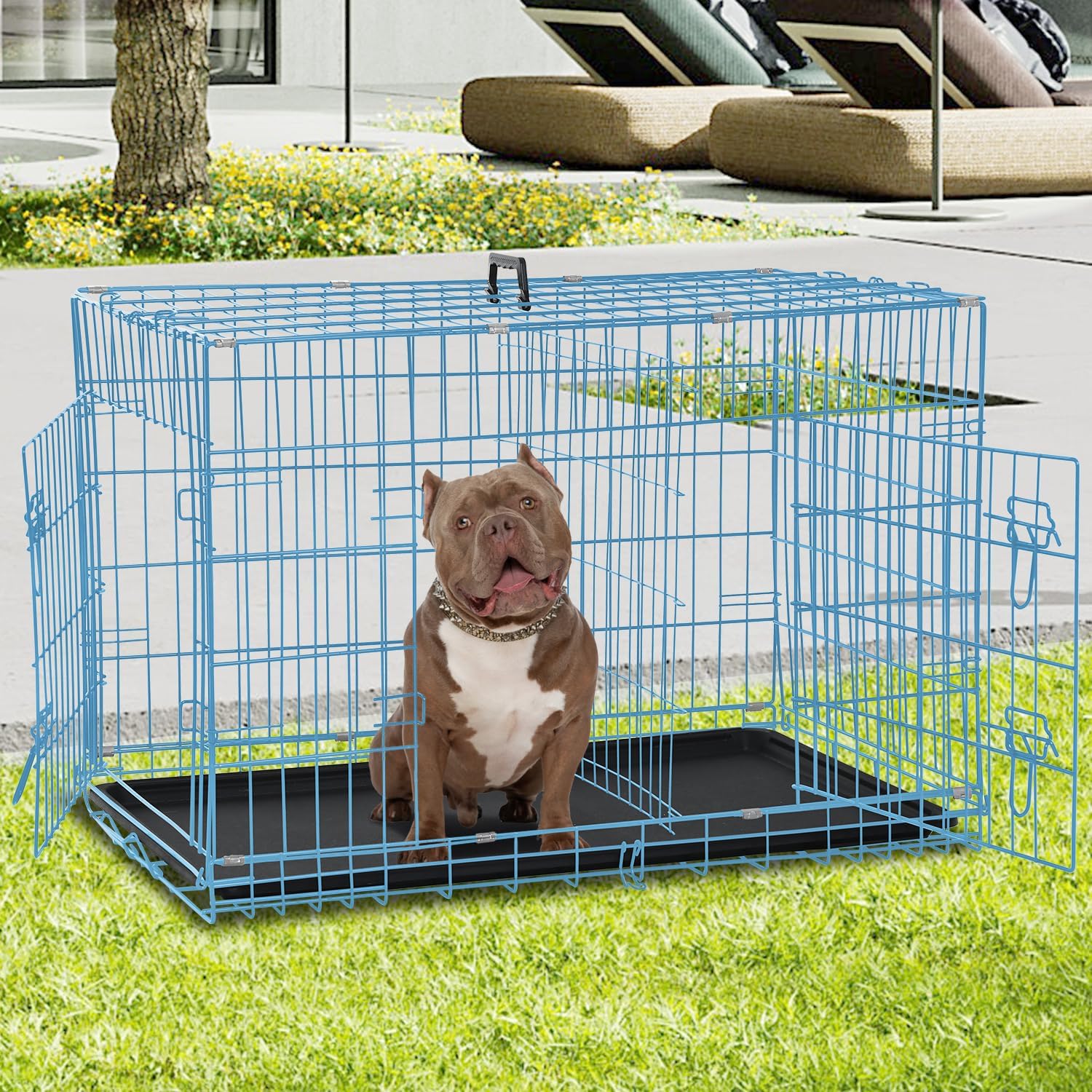 Dog Crate for Large Medium Small Dogs, Folding Dog Kennel Cage with Plastic Tray & Divider 48"/42"/ 36"/ 30"/ 24" Indoor Outdoor Metal Double Door Heavy Duty Dog Pen Enclosure, Blue(36 Inch)