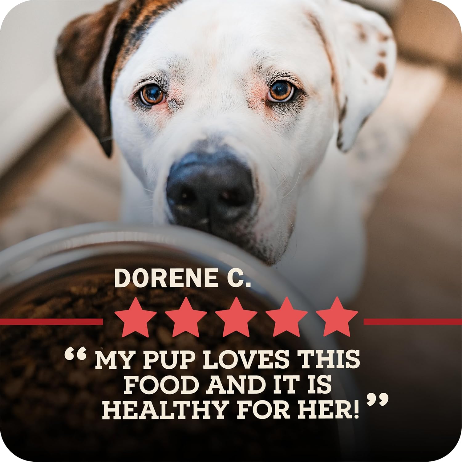 Redbarn Powerfood Air Dried Dog Food - 95% Beef & Beef Organs - High Protein Grain-Free Non-GMO Premium Dry Full Feed or Topper Made in USA with Omega 3 Salmon Oil Flaxseed - 2lb
