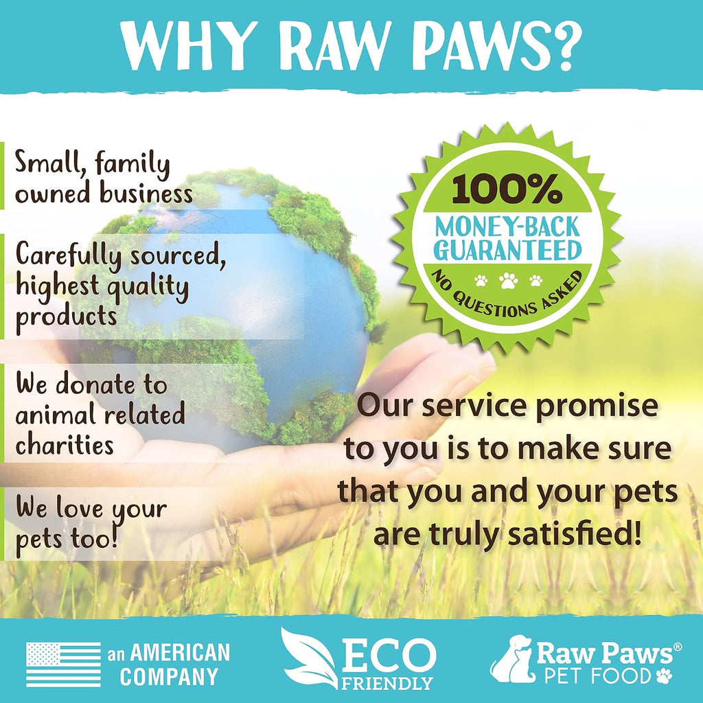 Raw Paws Dematting Comb - 1 ct, Long Blades & Safety Edges, For Cats and Dogs - Removes Mats, Tangles & Knots | For Matted Hair, Shedding & Hair Removal - Dematting Comb for Dogs - Cat Dematting Tool - Grooming Brush for Dogs