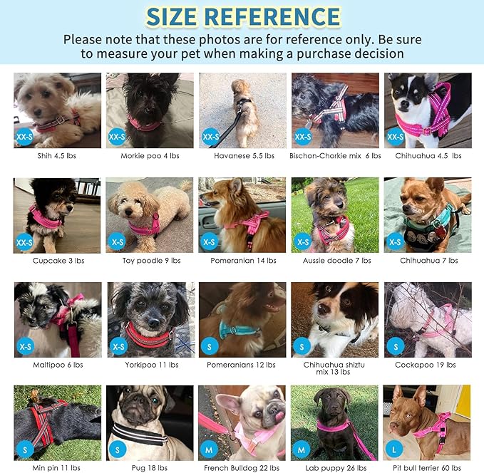 SlowTon No Pull Small Dog Harness and Leash Set, Puppy Soft Vest Harness Neck & Chest Adjustable, Reflective Lightweight Harness & Anti-Twist Pet Lead Combo for Small Medium Dogs(BL-Front Clip,S)
