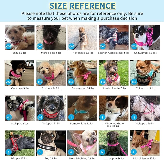 SlowTon No Pull Small Dog Harness and Leash Set, Puppy Soft Vest Harness Neck & Chest Adjustable, Reflective Lightweight Harness & Anti-Twist Pet Lead Combo for Small Medium Dogs (R-Front Clip,XXS)