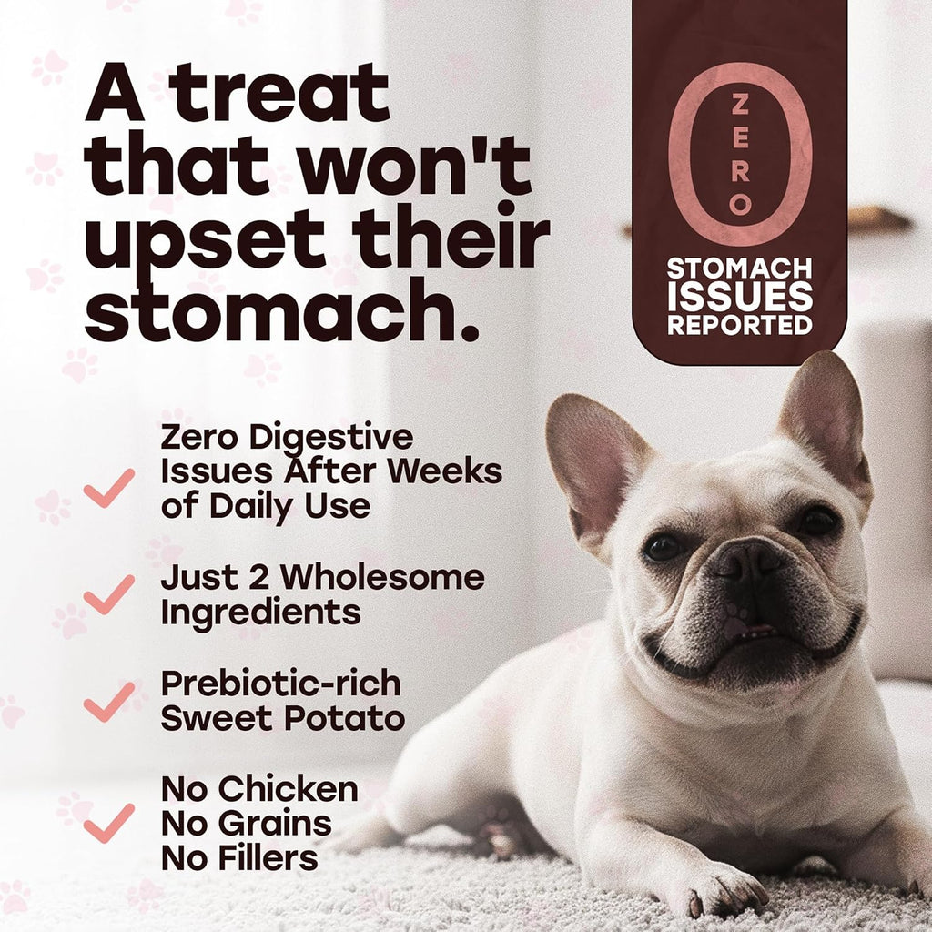 Freeze-Dried Raw Salmon Dog Treats - Single Protein, Grain-Free | Wild-caught salmon with sweet potato and omega-3; no fillers; training reward or kibble topper