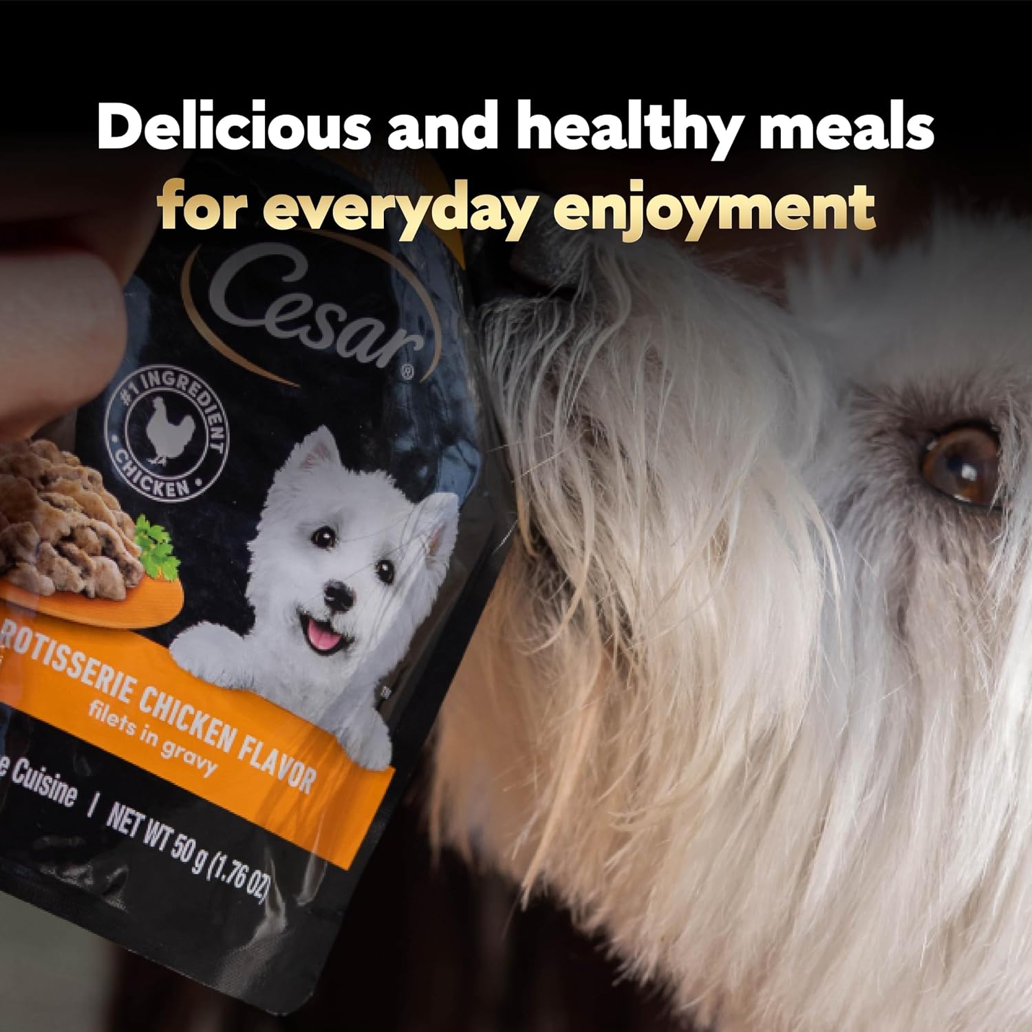Cesar Mini-Pouch Wet Dog Food, Filet Variety Pack, 1.76 oz, 40 Count | 3 flavors: Rotisserie Chicken, Filet Mignon, Wood-Grilled Chicken, real chicken or beef, easy peel-and-serve, protein-packed