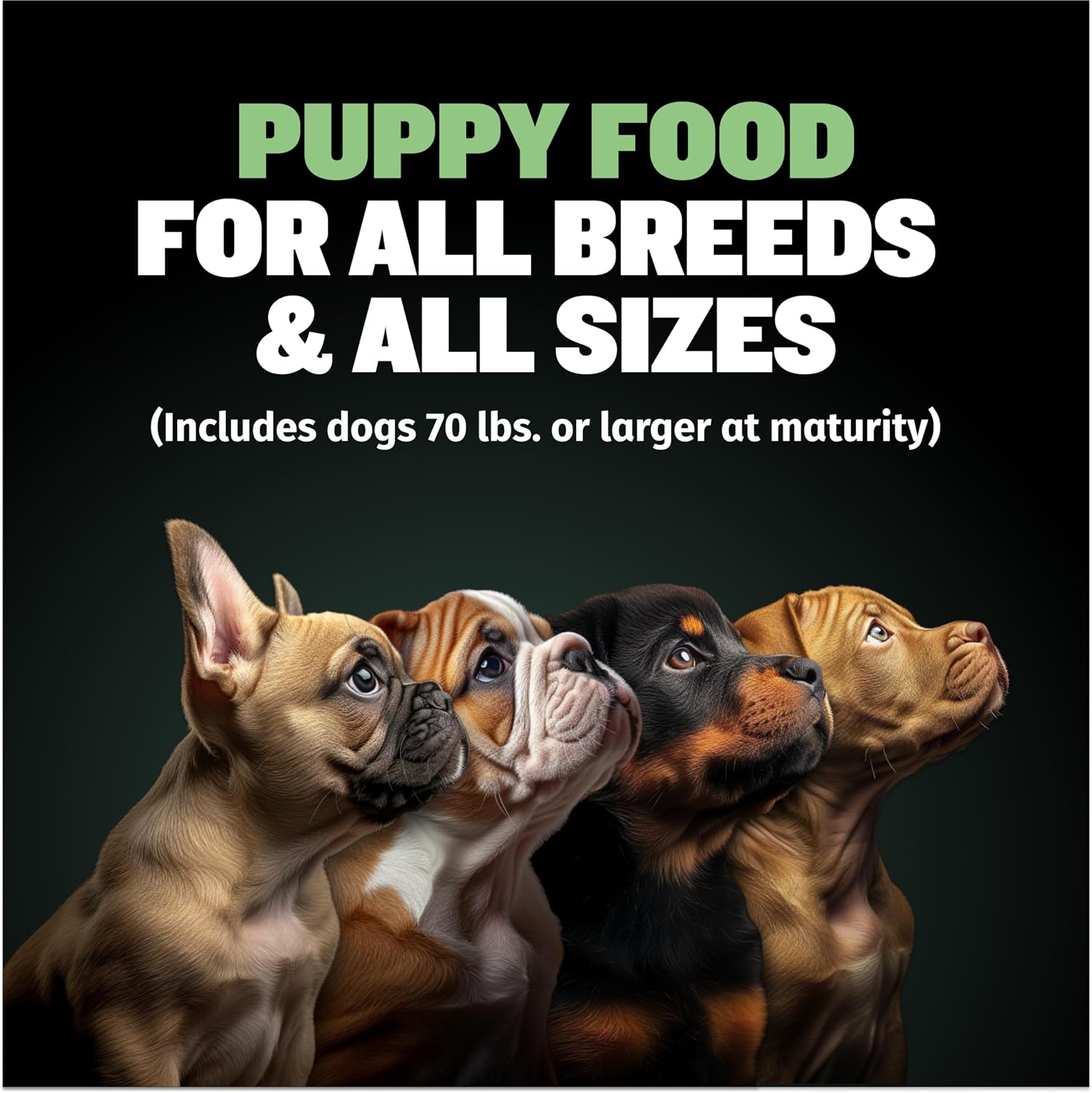 Bully Max Puppy Growth Set – 24/14 High-Protein Dry Food (5 lbs.), 26/12 Dehydrated Wet Food (2 lbs.) + 2-in-1 Chews for Growth & Immunity – Supports Gentle Digestion, Healthy Weight, Skin & Coat